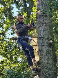 Lefour Élagage - Abattage d'Arbre Eure-et-loir 28