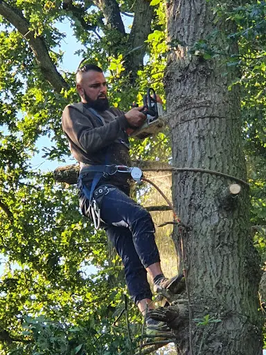 Lefour Élagage - Abattage d'Arbre Eure-et-loir 28