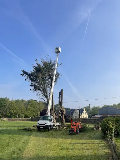 Elagage Vert Nature Saint Malo