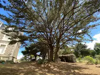 Leaf Paysagiste Arbres & Jardins