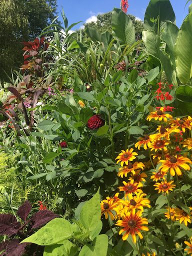 Cours de Jardinage À Domicile Avec Un Pro