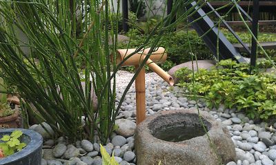 Société de Paysagisme les Jardins d'Ombre et Lumière