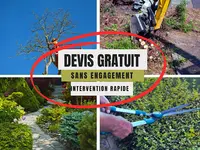 Elagage et Abattage Saint Nazaire