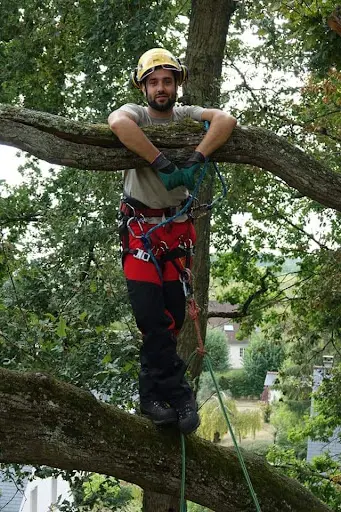 Arboré Passion