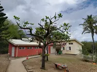 Maho Élagage