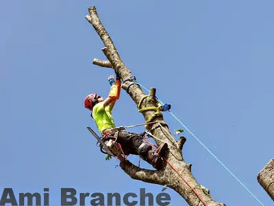 Kevin Saucet (ami Branché)