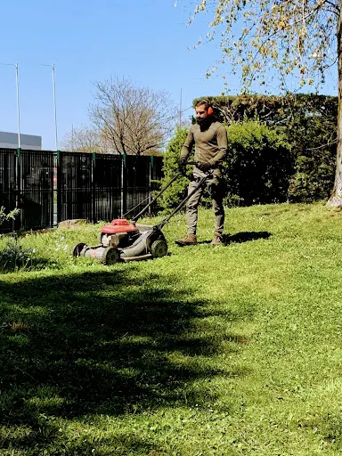 Balland Élagueur Paysagiste