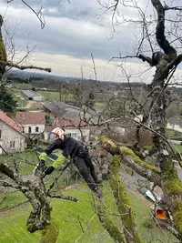 Air Bélot Élagage