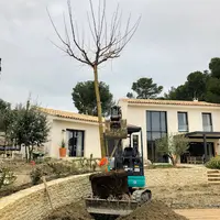 Alpilles Elagage Sas Bavaro