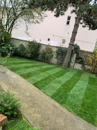 Jardinier Patrick
