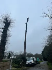 Breizh Élagage