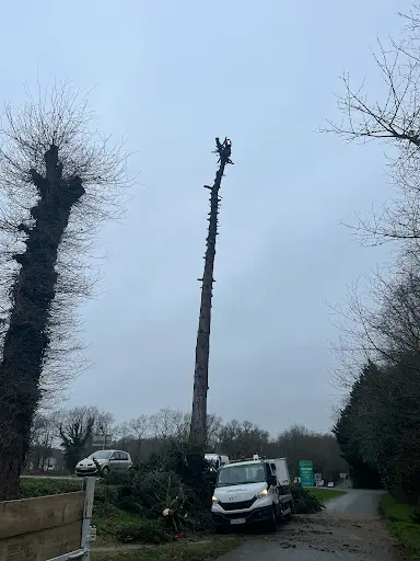 Breizh Élagage
