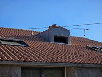 Noto Couverture
