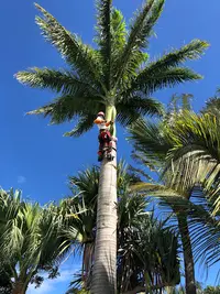 Les Jardins Flamboyants Nord et Est