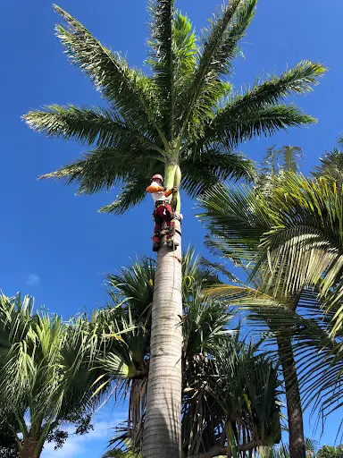 Les Jardins Flamboyants Nord et Est