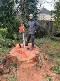 Elagage Abattage, L’ecureuil des Jardins