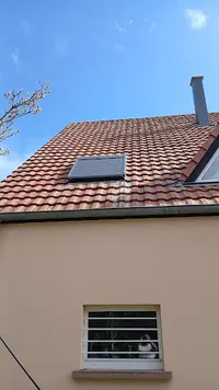 Artiproreno