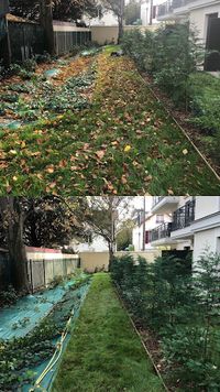 Maison & Jardin - Bricolage, Jardinage, Nettoyage