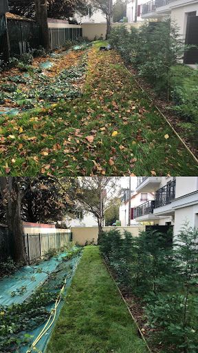 Maison & Jardin - Bricolage, Jardinage, Nettoyage