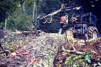 Sanguinet Environnement