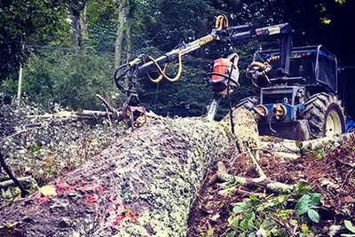 Sanguinet Environnement