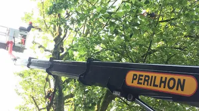Perilhon Elagage