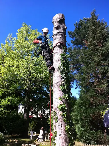 Vertailles Arbres et Jardins