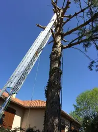 Bauer - Élagueur Albi : Entretien Espaces Verts Tarn-et-garonne Albi Gaillac Carmaux