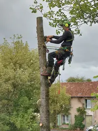 Sarl Guerini Enzo Élagage / Paysage