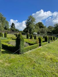 Paul Barnérias Garden Design - Paysagiste : Conception / Création / Entretien de Jardin et Élagage.