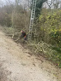 Wb Elagage / Elagueur Jardinier Paysagiste Troyes la Rivière de Corps