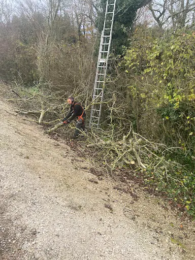 Wb Elagage / Elagueur Jardinier Paysagiste Troyes la Rivière de Corps