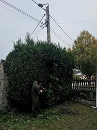 M. Meinhard Jardinier Élagueur Professionnel