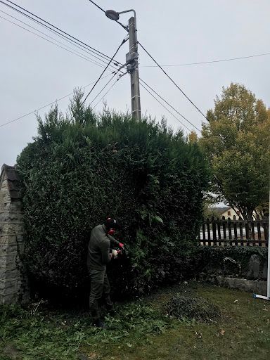 M. Meinhard Jardinier Élagueur Professionnel