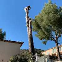 Waeldo Jardin Jardinier Elagueur Élagage Toulon
