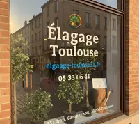 Élagage, Abattage & Dessouchage Toulouse - Élagueur Grimpeur Haute-garonne 31