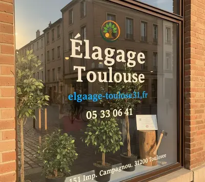 Élagage, Abattage & Dessouchage Toulouse - Élagueur Grimpeur Haute-garonne 31