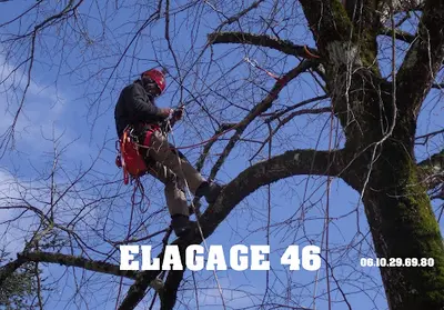 Elagage 46