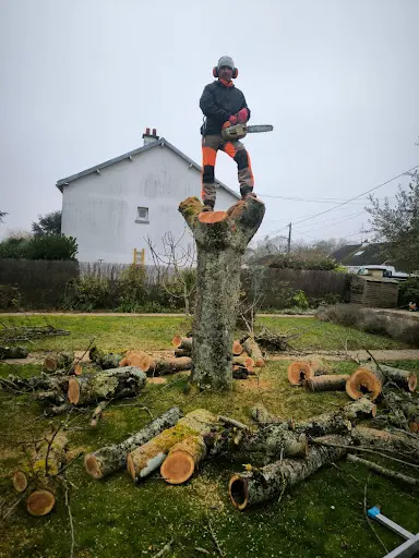 Élagage Abattage Jardinage Tours - Paysagiste Indre-et-loire