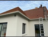 Pro14 Renov
