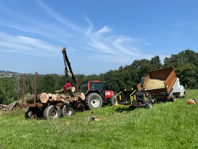Haitz Berde Copeaux Bois - Paillage - Elagage