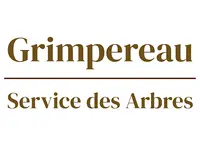 Grimpereau - Service des Arbres