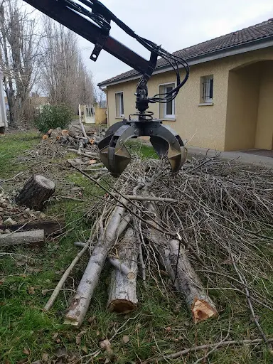 Drome Élagage