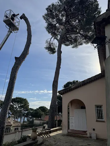 Bourgois Élagage