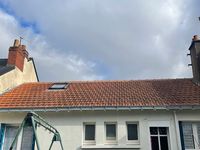 Mw.renovation
