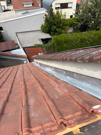 Cg Renovation