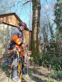 Horn Élagage Espace Vert Yvetot 76
