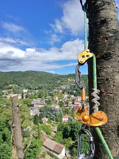 Travaux de Cimes - Élagage et Abattage Vals-les-bains