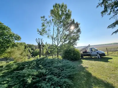Élagueur Royan Saintonge Élagage Paysagiste Jardinier Taille de Haies 17