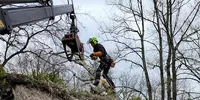 Paysagiste Touraine - Élagueur Veigné : Espaces Verts Chambray les Tours Poitiers Tours